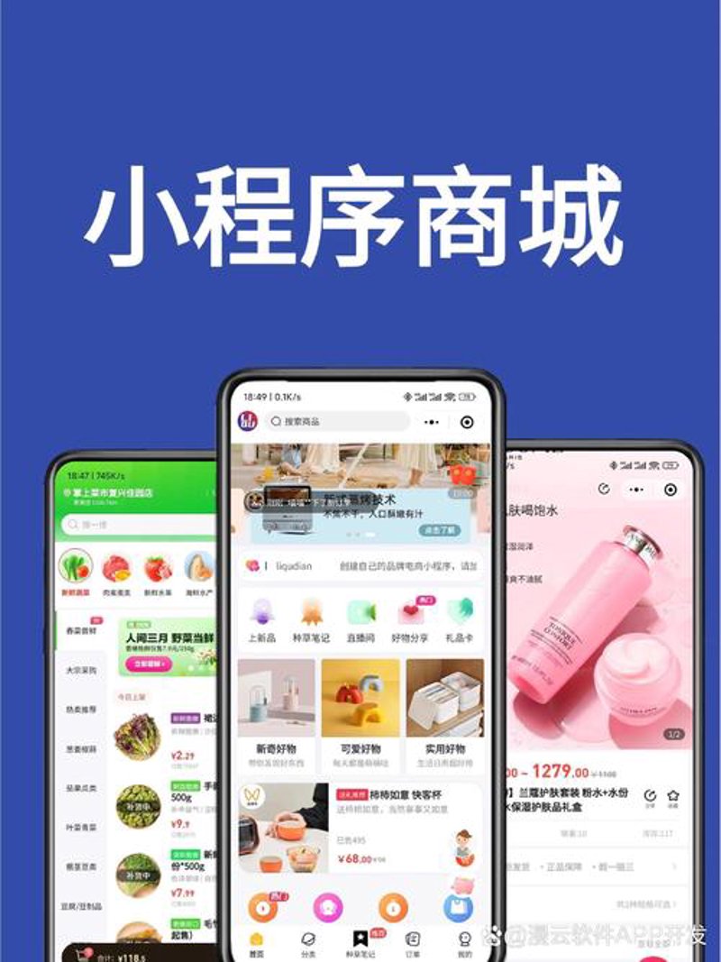探索永州软件开发的活力与创新